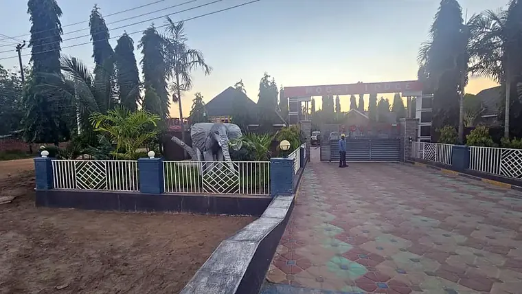 The Mogas Lodge gate from the drive: the sign over the entrance and the elephant behind the fence